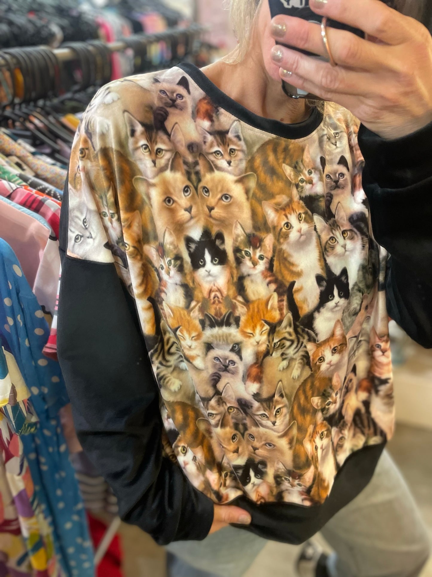 GATINHOS