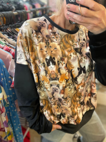 GATINHOS