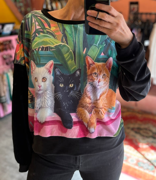 ROSA CAT